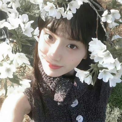 鱼你相医